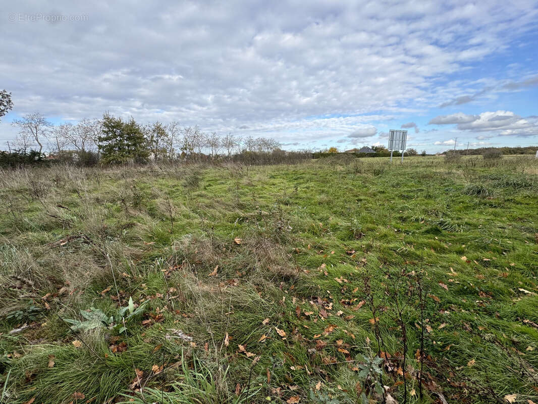 Terrain à FONSORBES