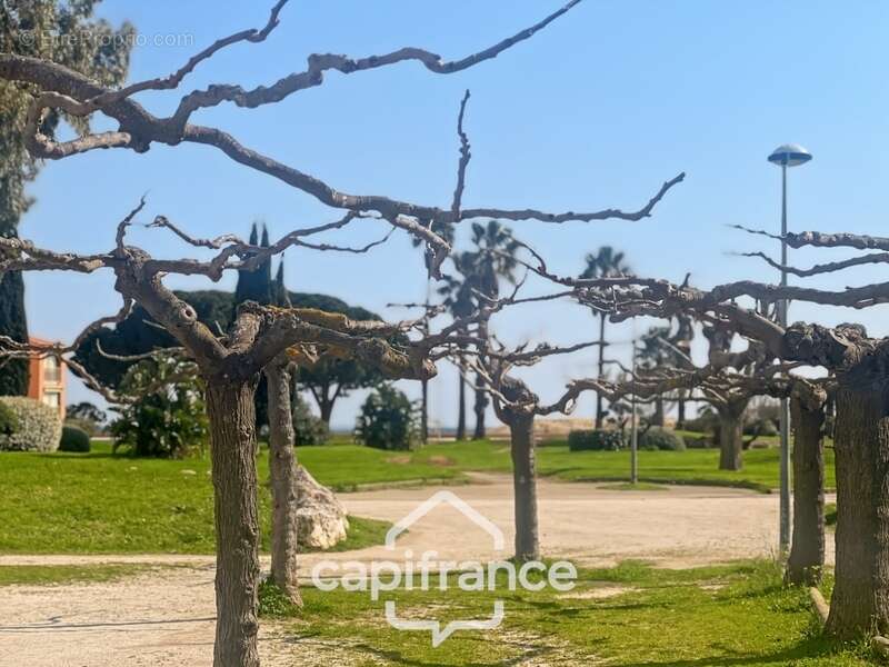 Commerce à LA LONDE-LES-MAURES