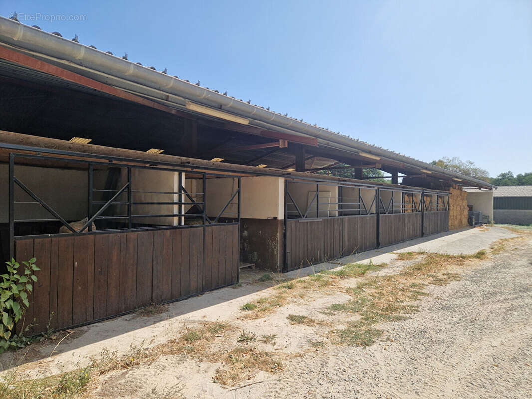 Centre équestre avec maison d'habitation, sur 16Ha - photo 8