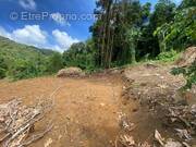 Terrain à LE VAUCLIN