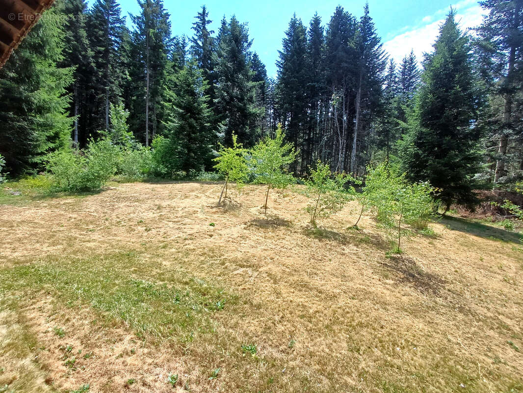 Chalet en bois sur sous sol et terrain attenant boisé - photo 4