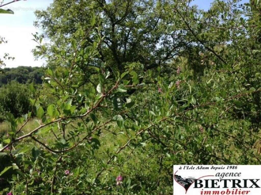 Terrain à L'ISLE-ADAM