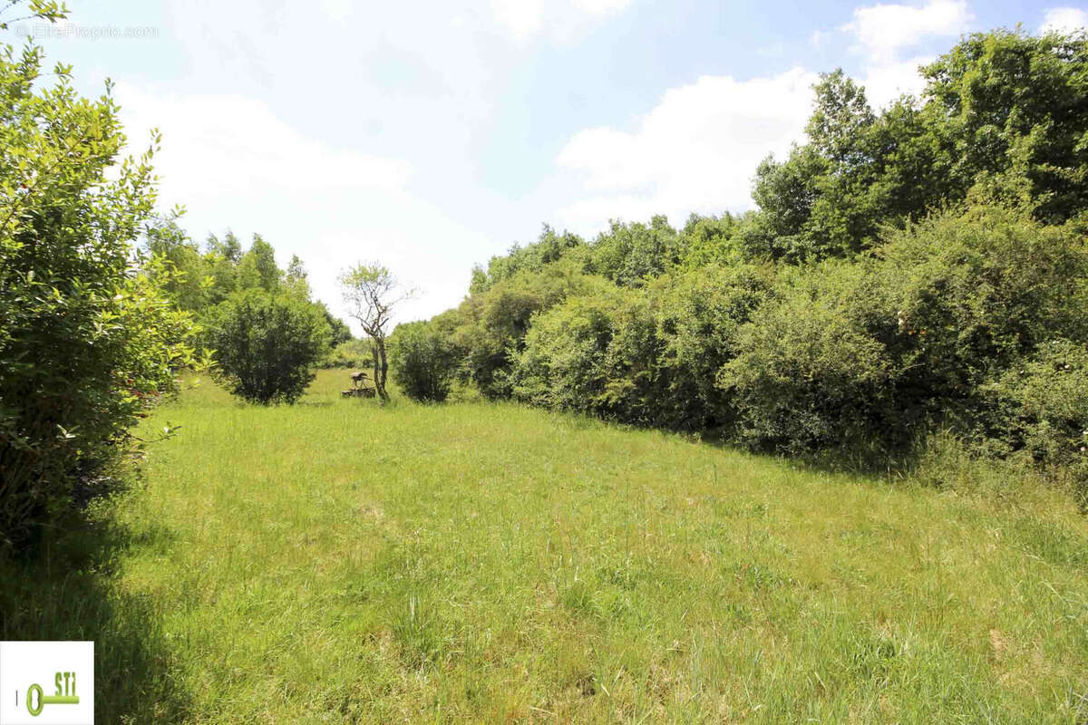 Photo 4 - Maison à SAINTE-GENEVIEVE-DES-BOIS