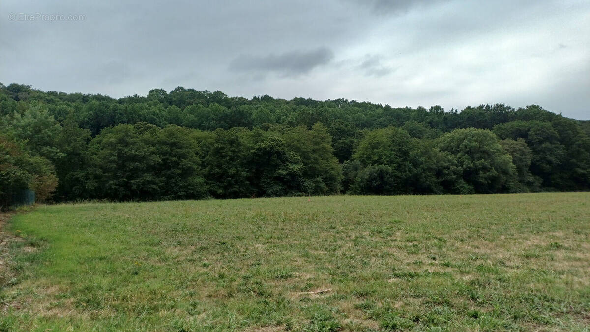 Terrain à SOURAIDE