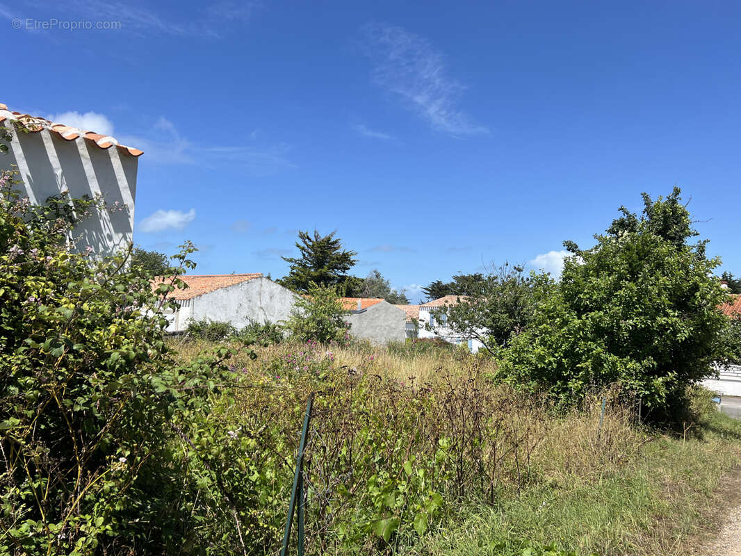 Terrain à L'ILE-D'YEU