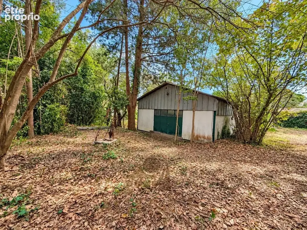 Antibes Suquette Maison avec terrain 2100m2– Authentique propriété en pierre – Environnement privilégié – Fort potentiel – Pisci - photo 29