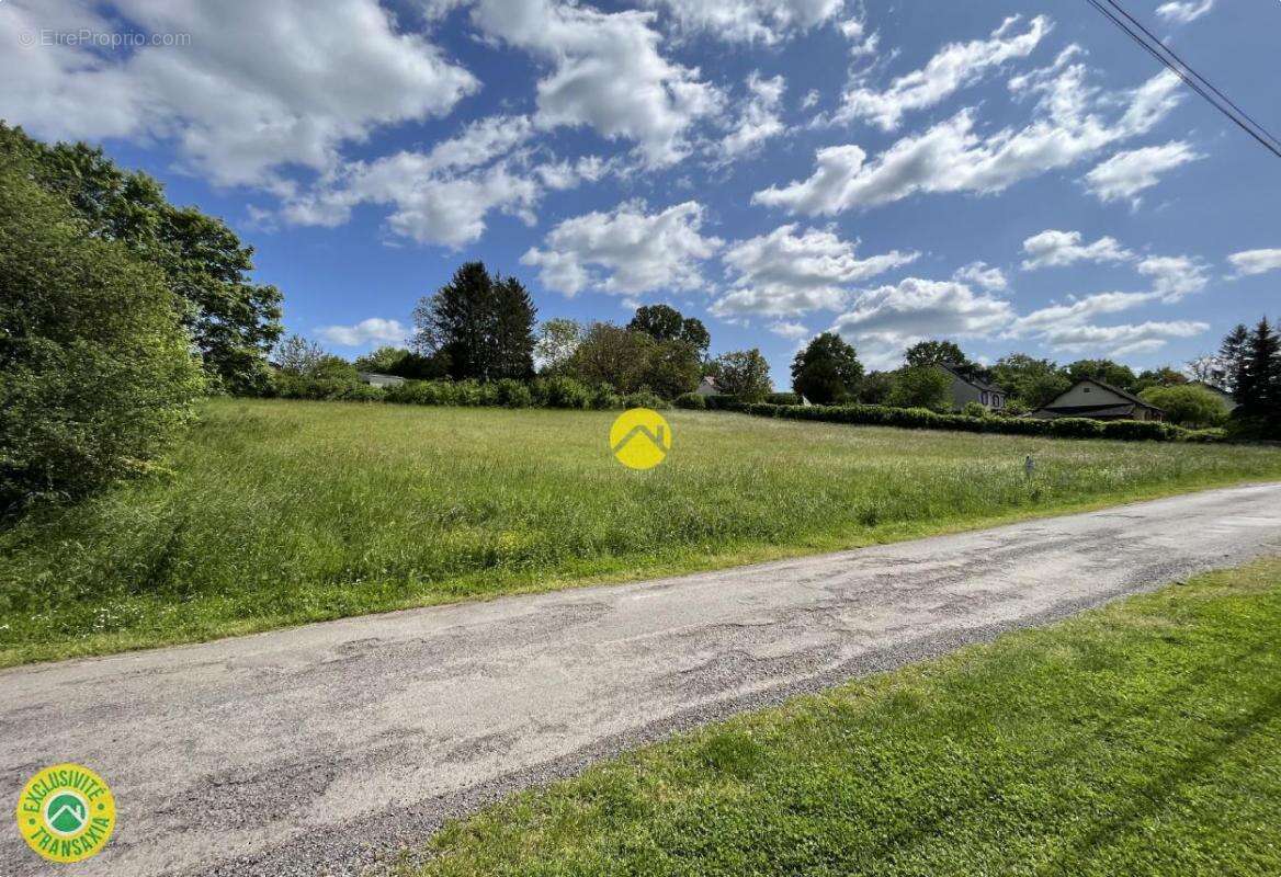 Terrain à CHATEAUNEUF-SUR-CHER