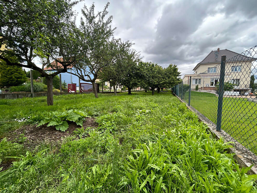 Terrain à ISSENHEIM