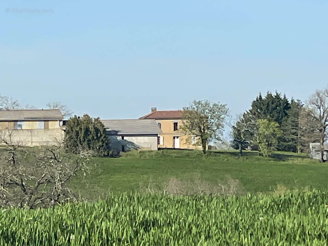 Maison et grandes bâtiments agricoles, terrain 5000m2, vue Pyrénées - photo 22