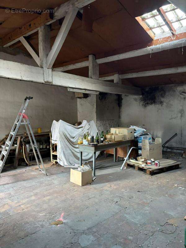 Commerce à VALLAURIS