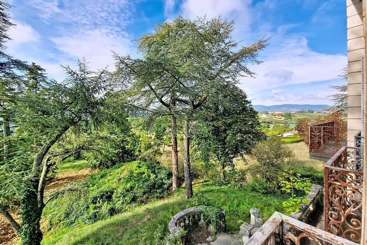 Maison à LE BOIS-D&#039;OINGT