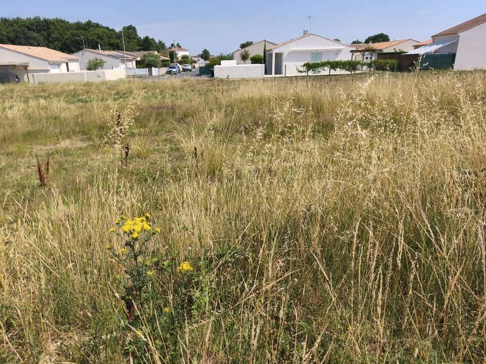 Terrain à SAUJON