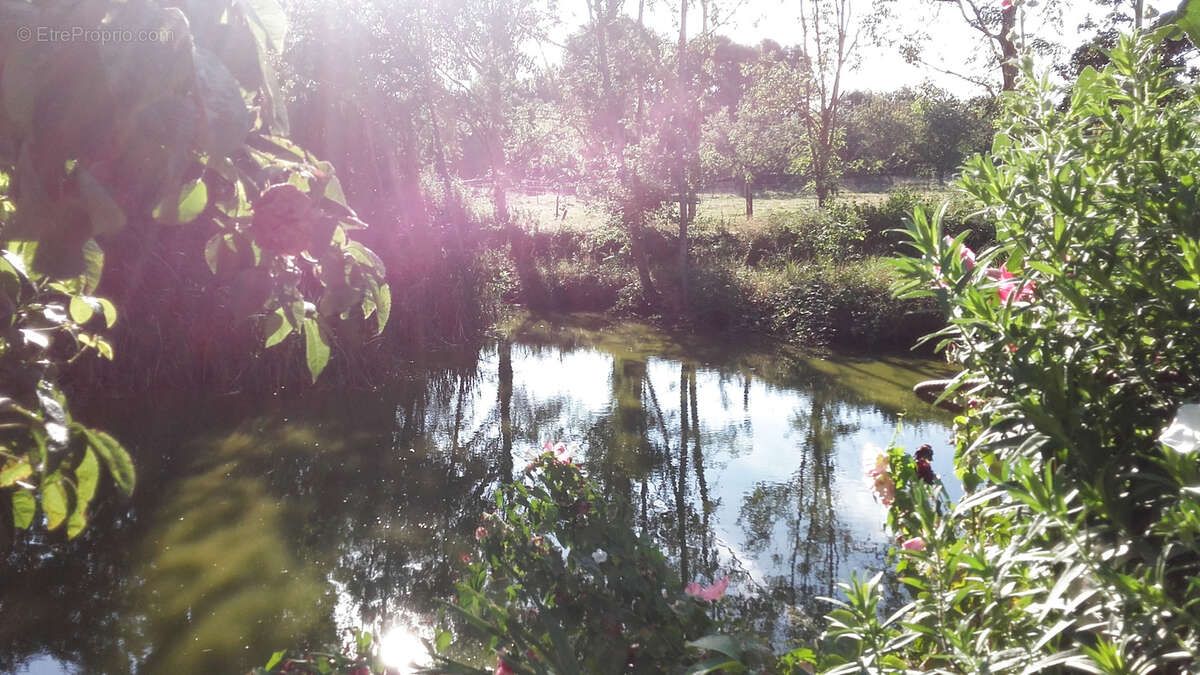Maison à BOURG-ACHARD