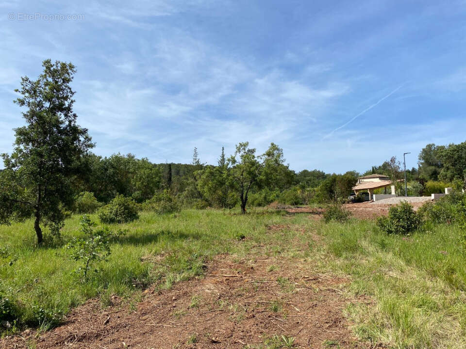 Terrain à SOLLIES-PONT