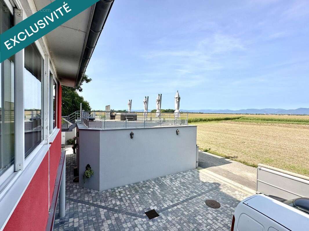 Photo 4 - Appartement à MARCKOLSHEIM