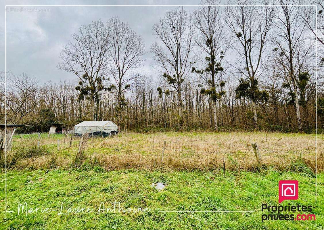 Maison à MONTPONT-EN-BRESSE