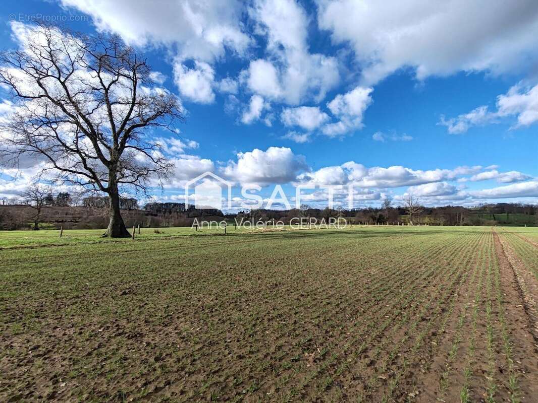 Photo 6 - Terrain à FOUGEROLLES-DU-PLESSIS