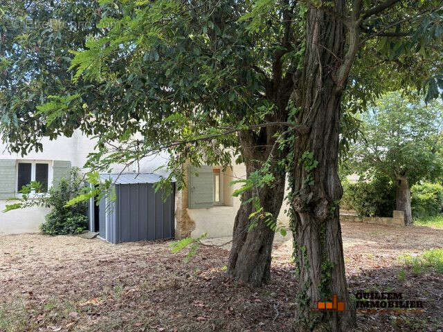 Jardin - Maison à SAINT-CHAMAS