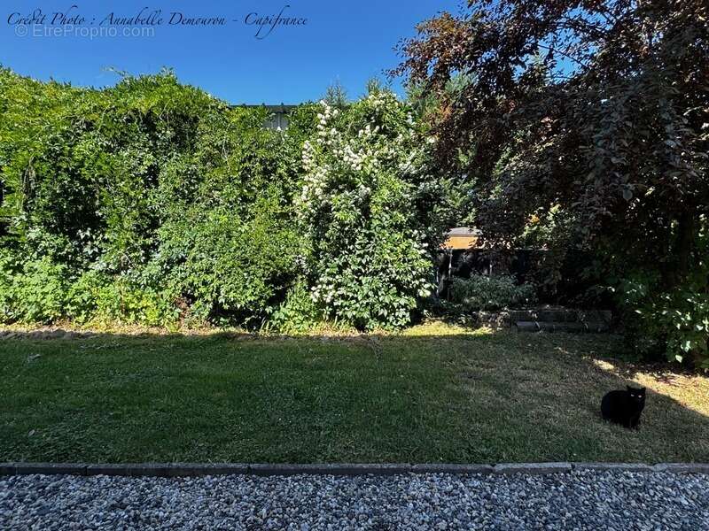 Maison à ORLEAT