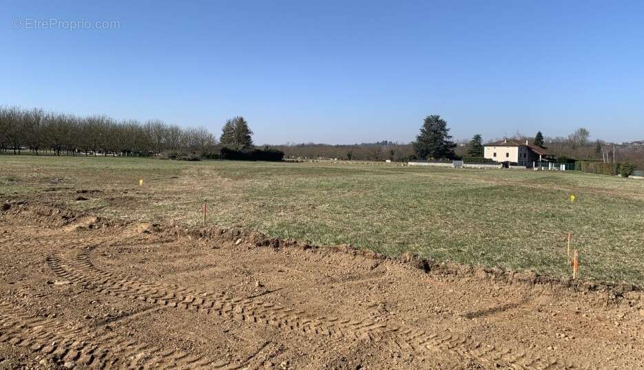 Terrain à SAINT-ROMANS