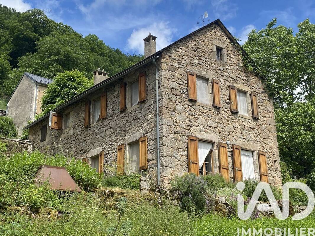 Photo 1 - Maison à SAINT-SAUVEUR-CAMPRIEU