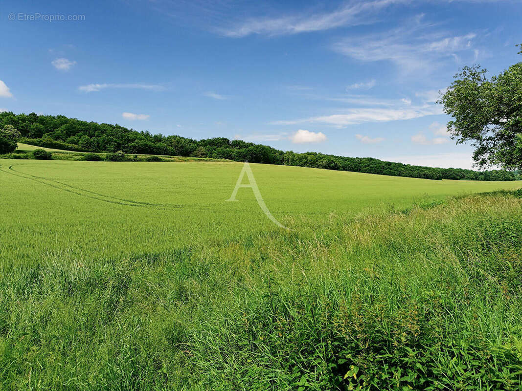 Maison à VILLECONIN