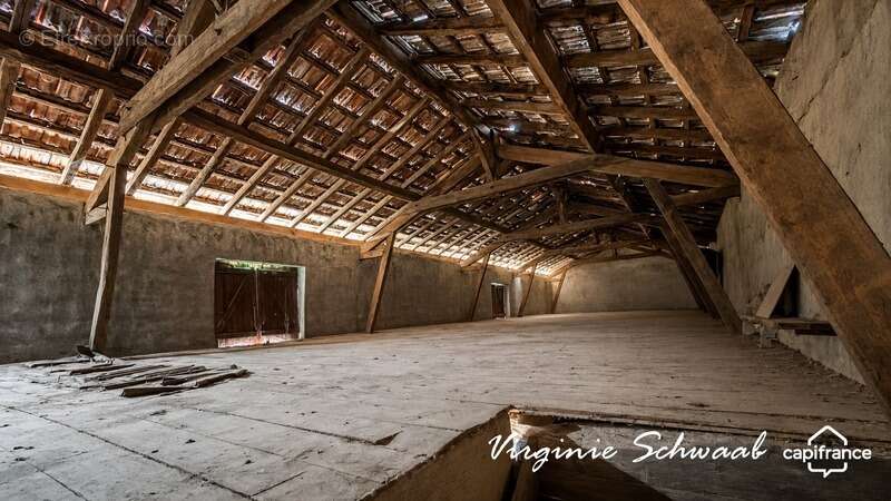 TILH (40) – Maison de 9 pièces avec dépendances sur plus de 3 000 m² de terrain - photo 22