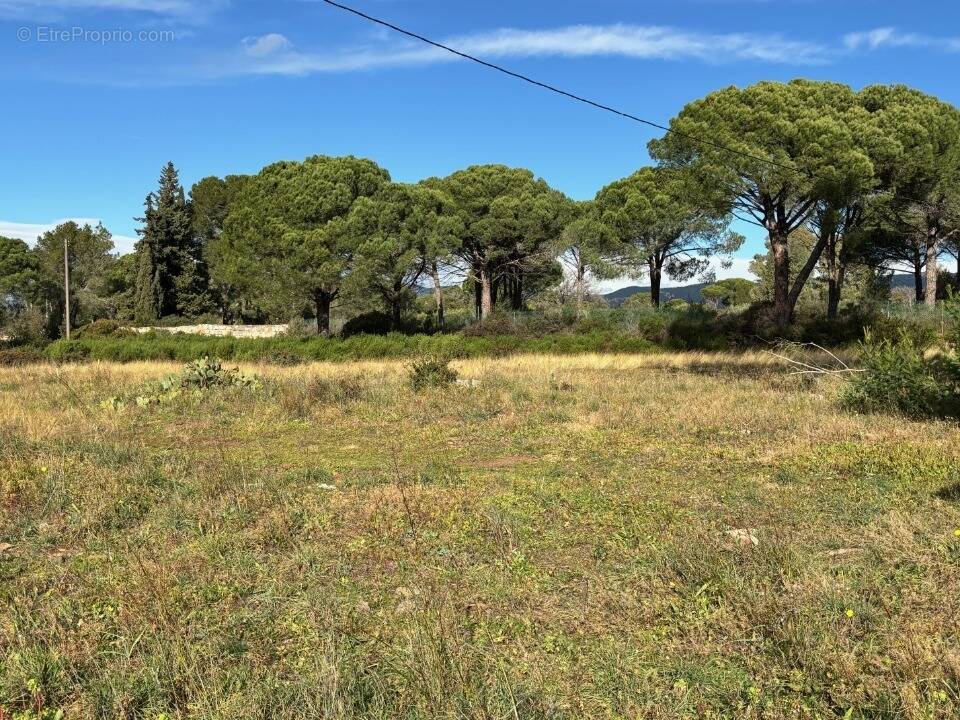 Terrain à PUGET-SUR-ARGENS