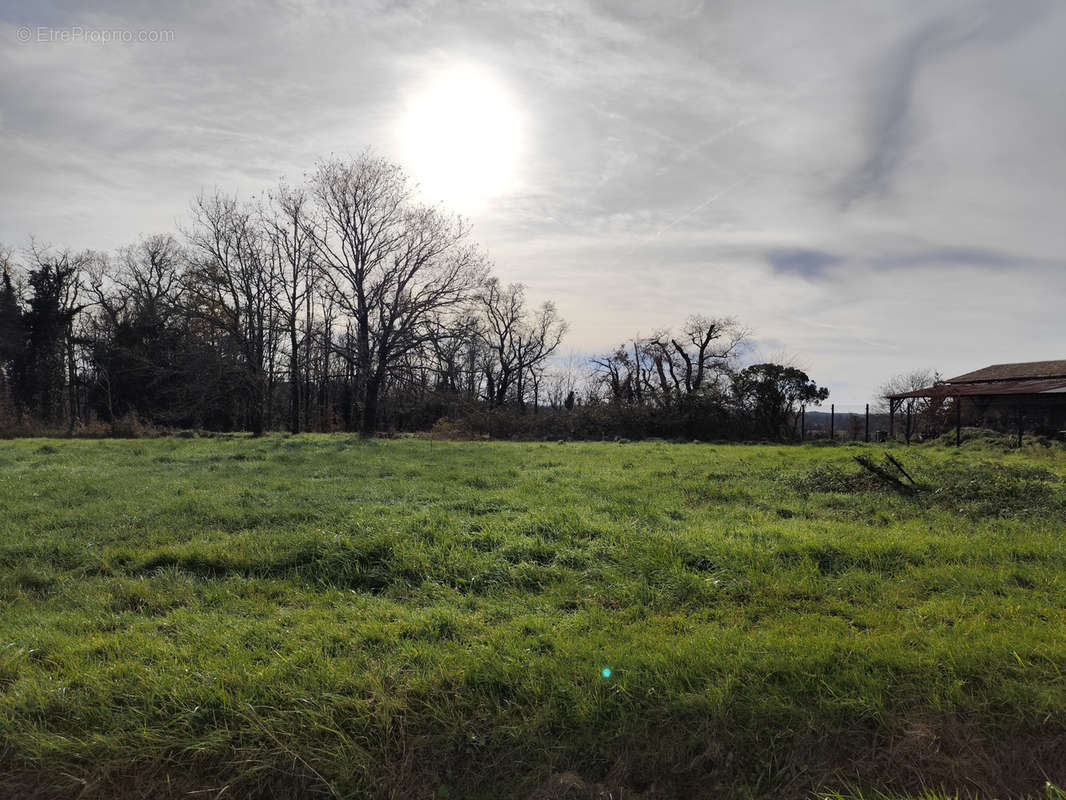 Terrain à LE PIZOU