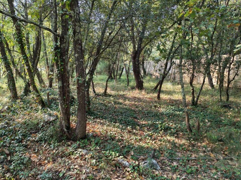 Terrain à TRANS-EN-PROVENCE
