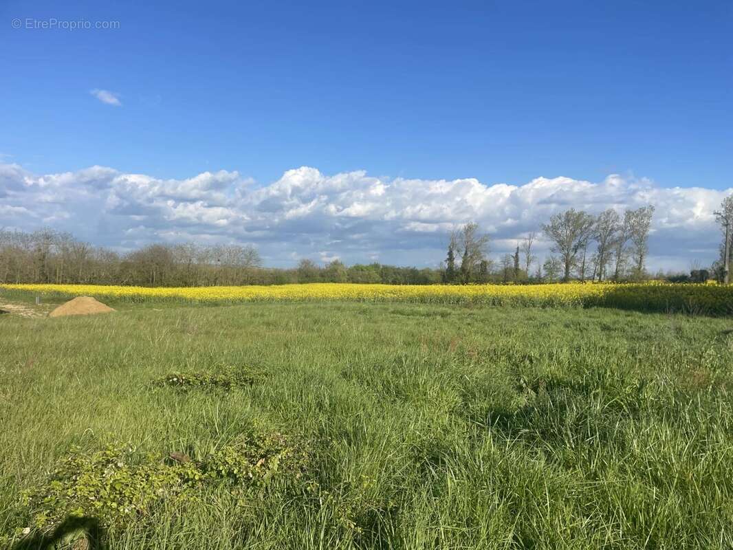Terrain à FOURQUES-SUR-GARONNE