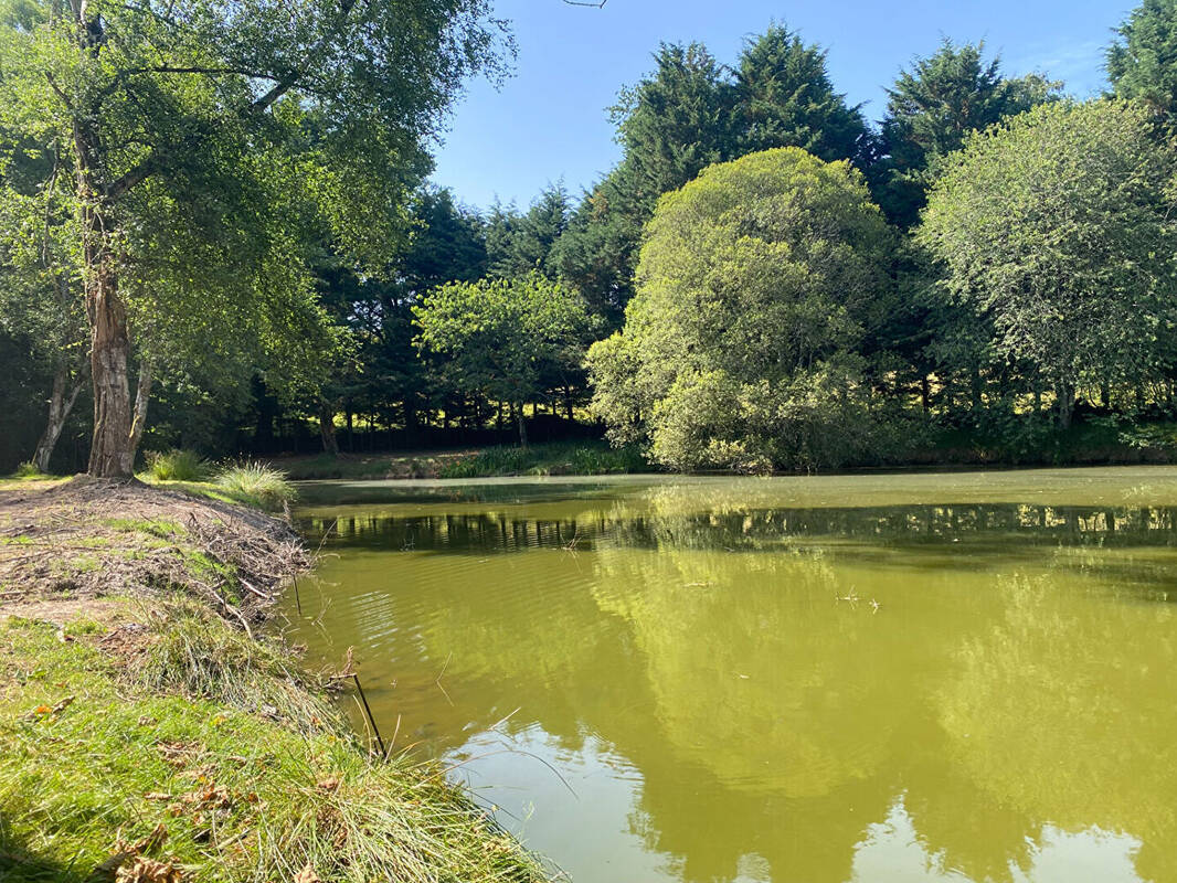 Terrain à LARCHAMP