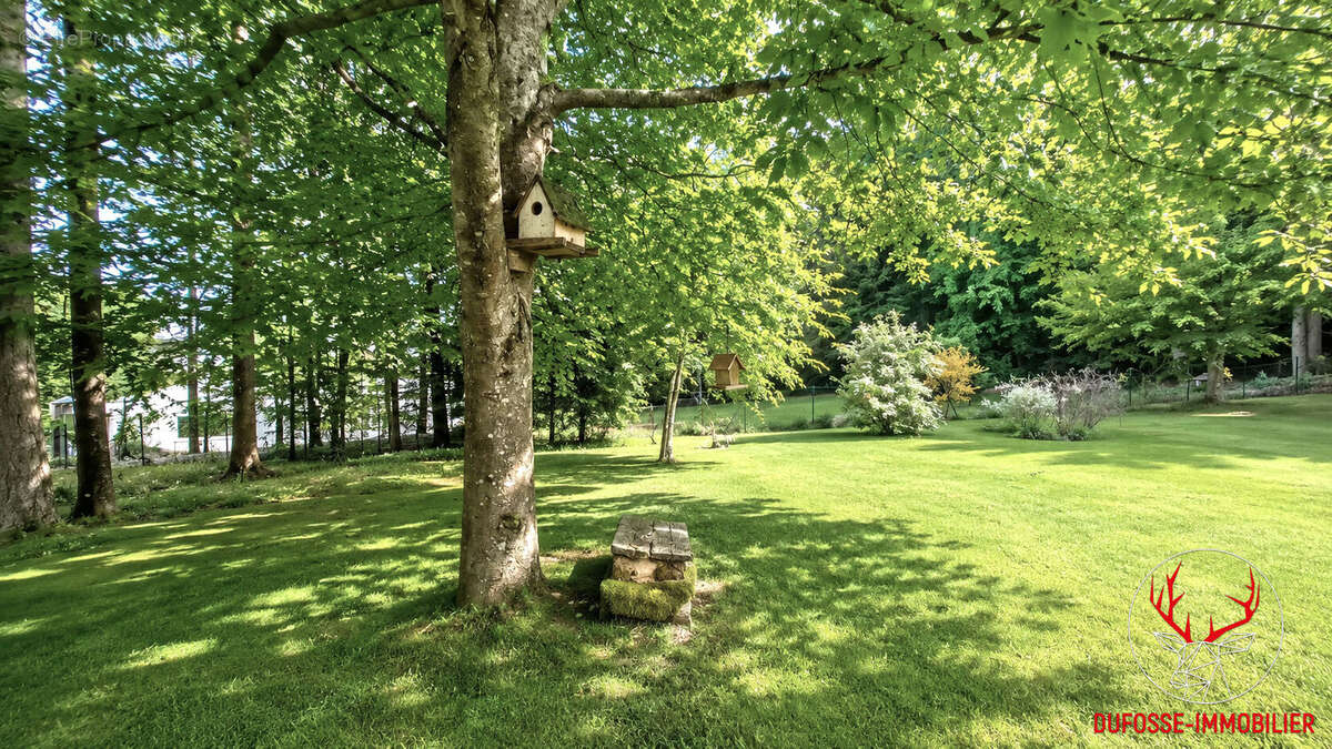 Le Chambon-sur-Lignon - Belle propriété de 165 m² - 4/5 chambres - Terrain arboré de 3 280 m² - photo 15