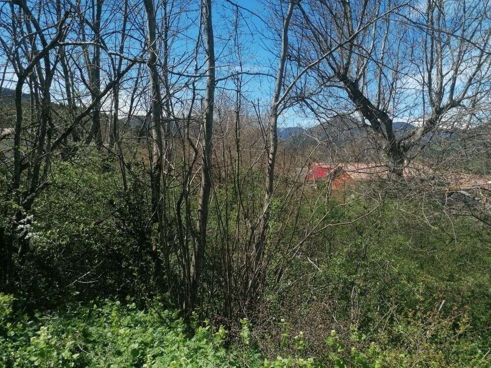 Terrain à LA FAURIE