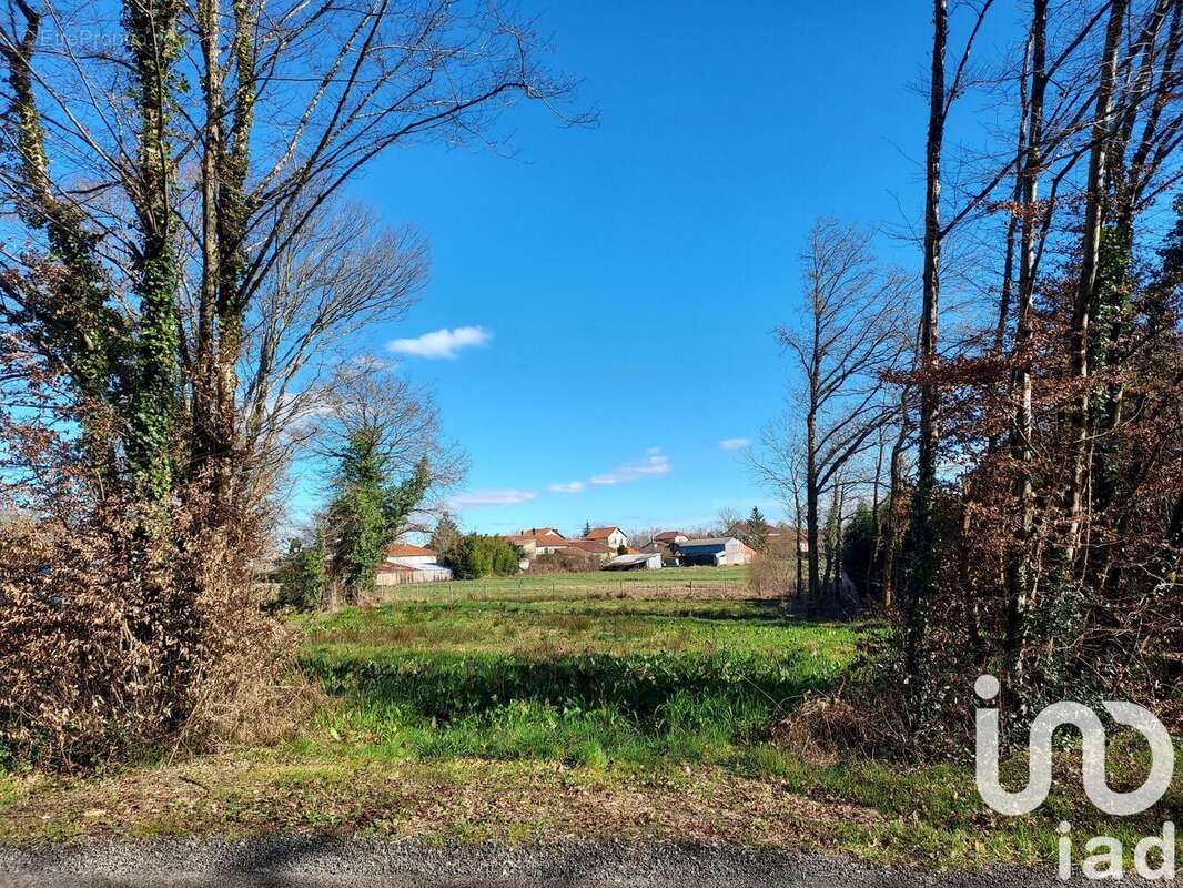 Photo 6 - Terrain à ROUMAZIERES-LOUBERT