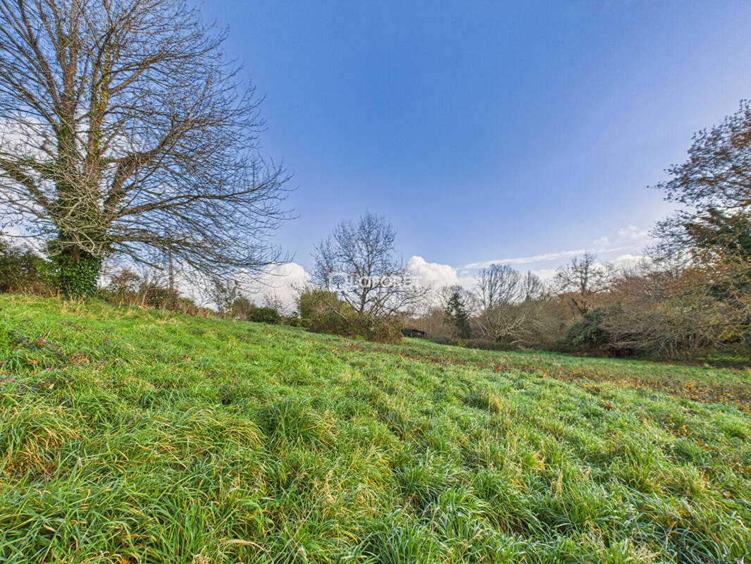 Terrain à PLEUVEN