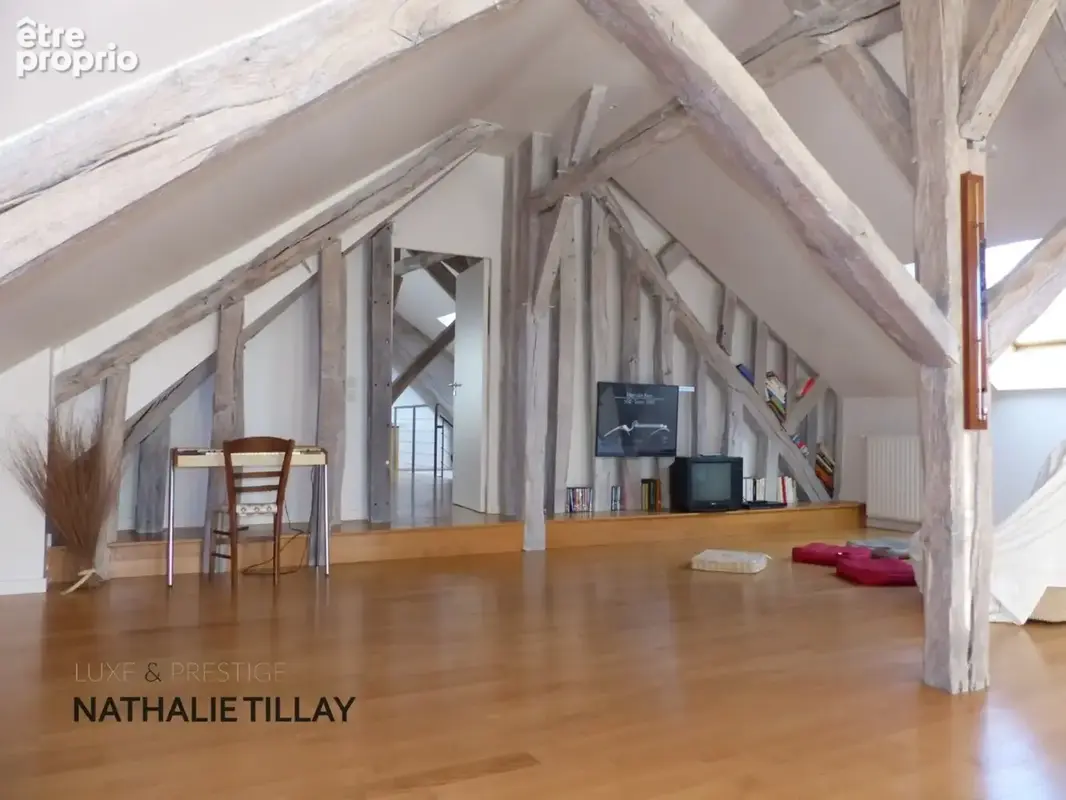 Saint-Jean-le-Blanc, proche Orleans, à vendre, maison de Maitre du XIXème de 423 m² habitables, avec piscine, parc arboré de 4 6 - photo 25