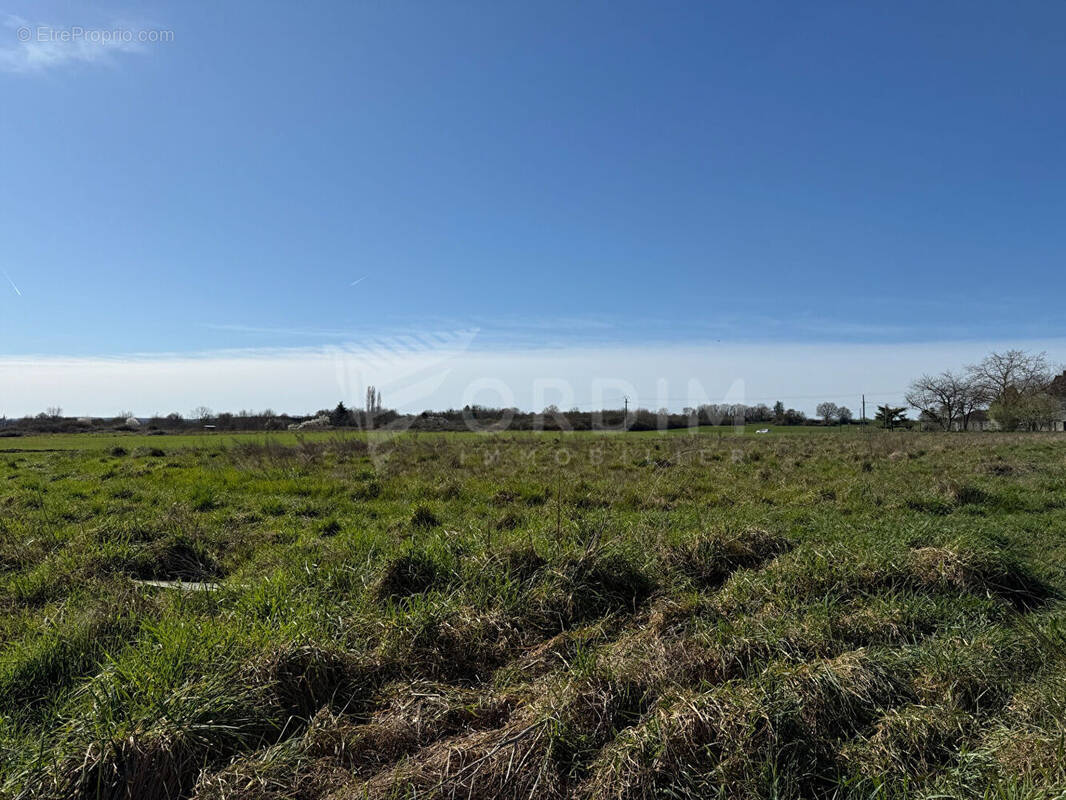 Terrain à BEAULIEU-SUR-LOIRE