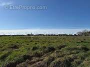 Terrain à BEAULIEU-SUR-LOIRE