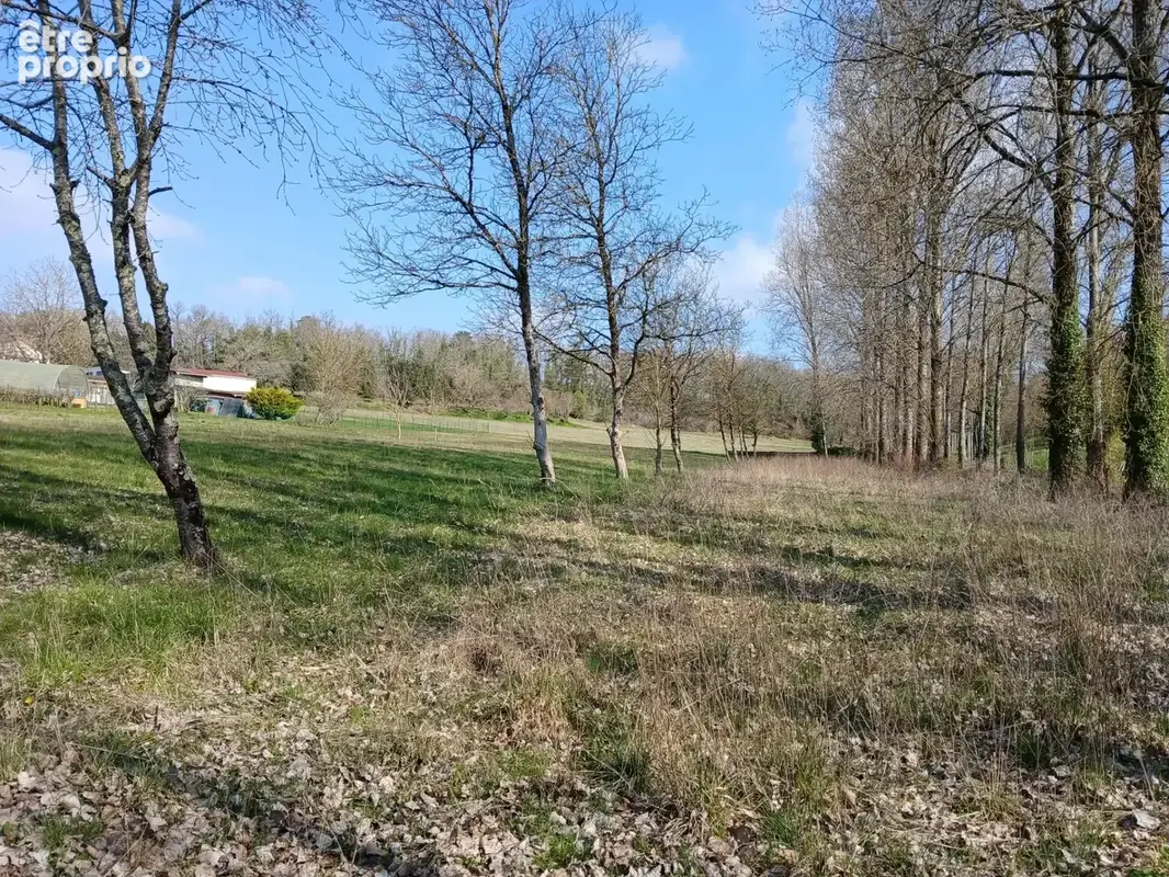 Maison familiale de 5 chambres avec  terrain de 1 hectare - photo 16