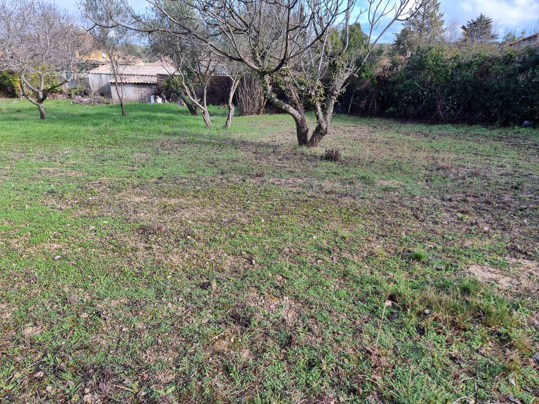 Terrain à SUSSARGUES