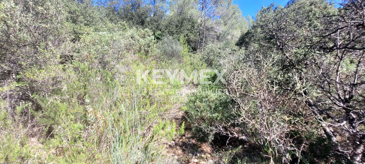 Terrain à SOLLIES-TOUCAS