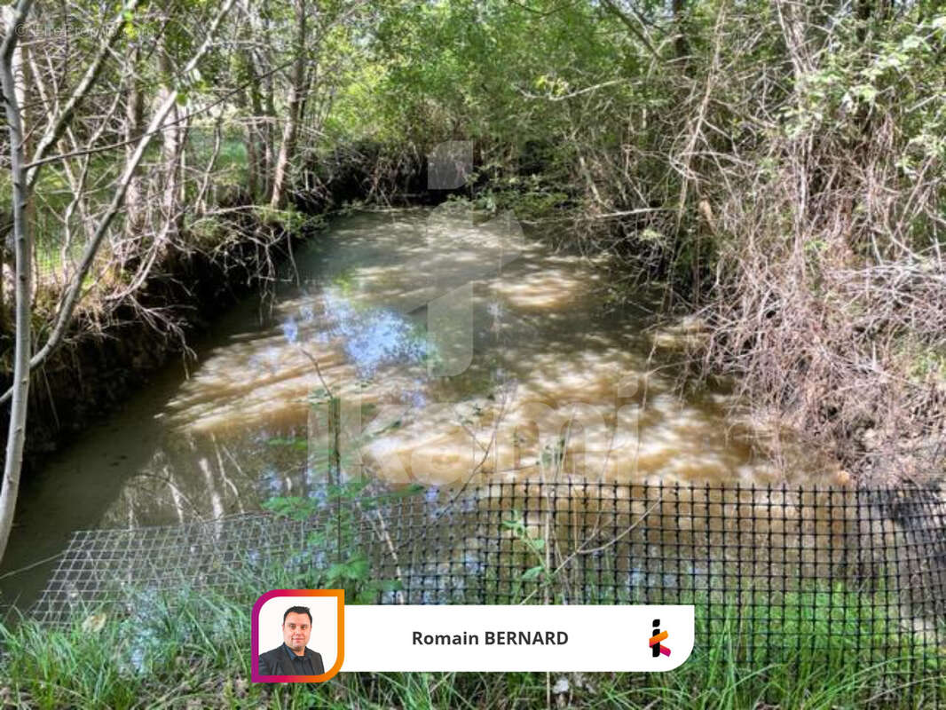 Propriété d'exception avec étang de 3 hectares à Beaupouyet - photo 19