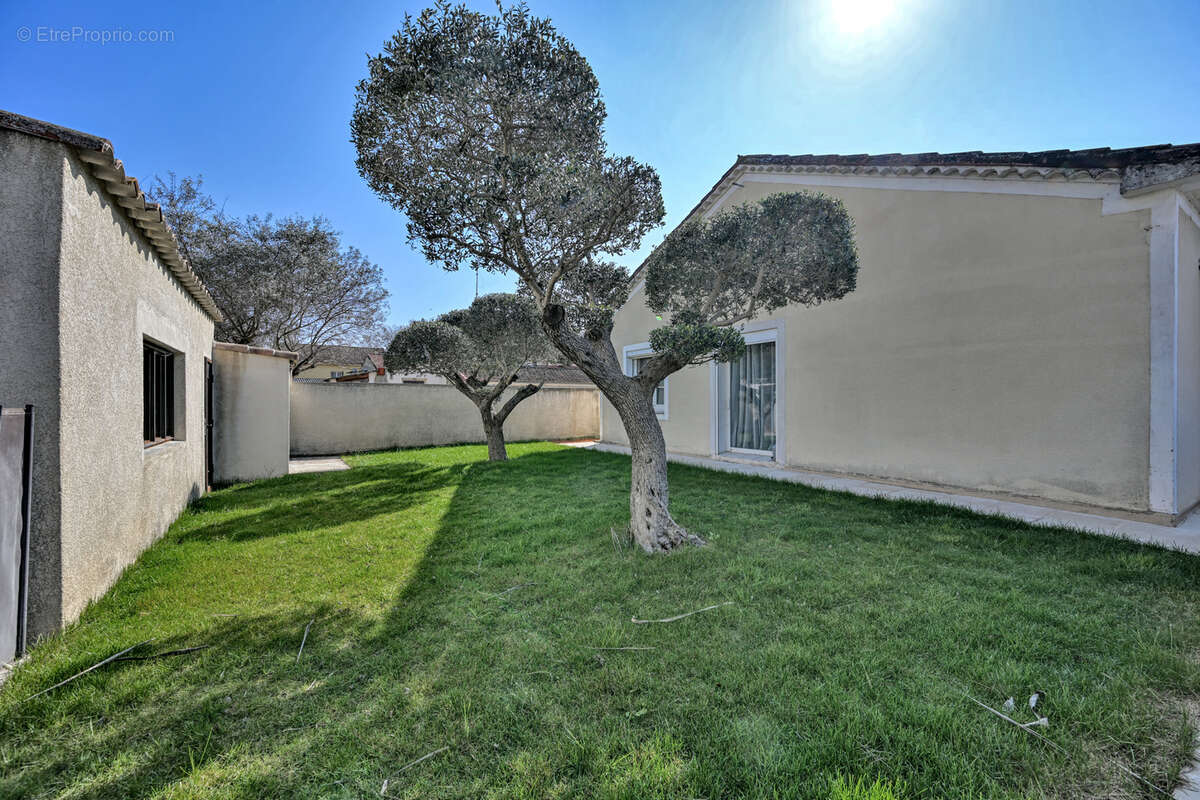 Maison à MARSILLARGUES