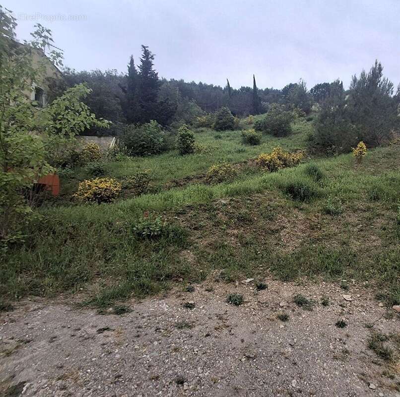 Terrain à VILLENEUVE-LES-CORBIERES
