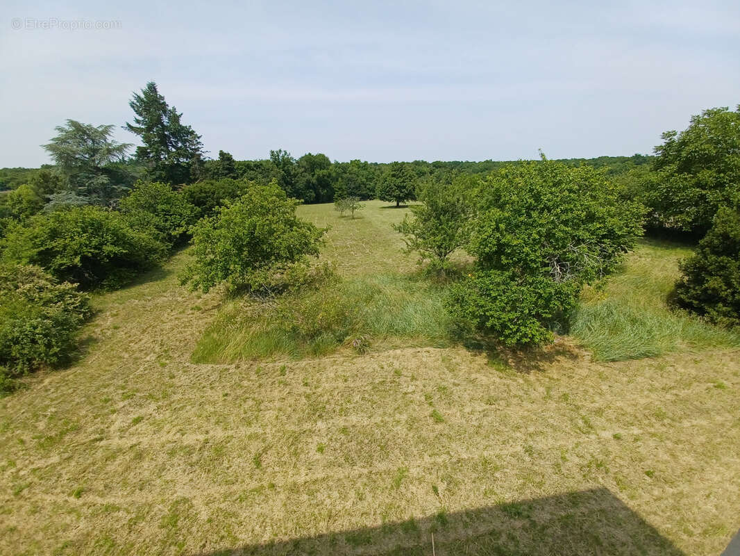 Maison à LA CHARITE-SUR-LOIRE