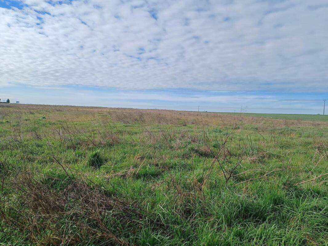 Terrain à ANGLIERS