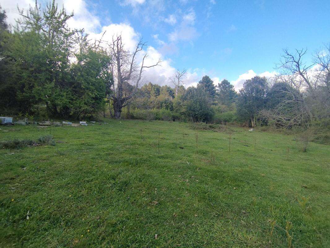 Terrain  3000 m2 - Quenza (Alta Rocca, Corse-du-Sud) - photo 4