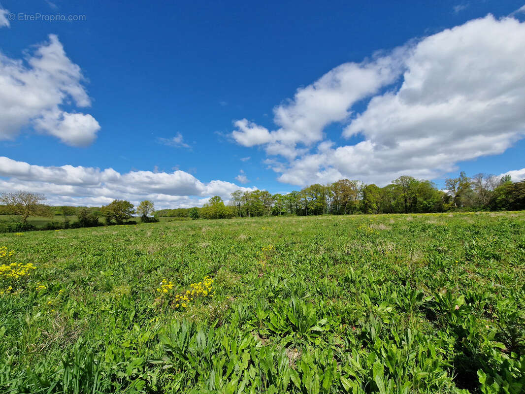 Maison à MAGNANVILLE