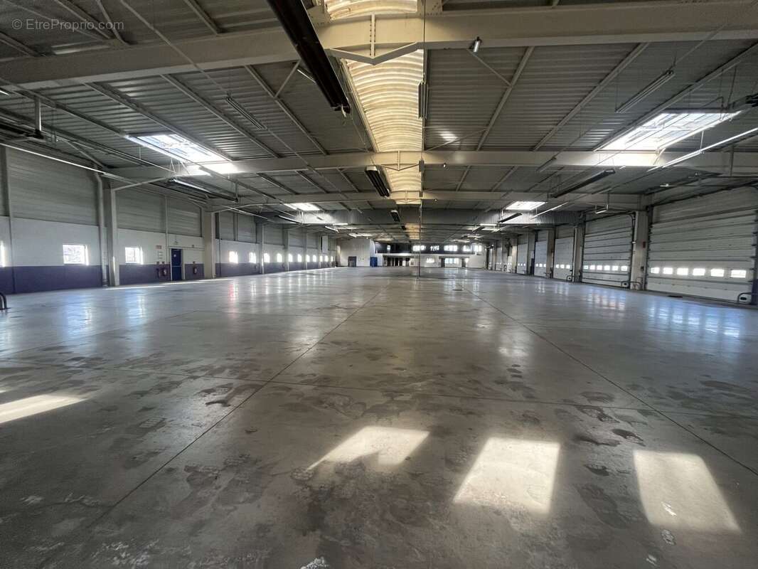 Commerce à SOUFFELWEYERSHEIM